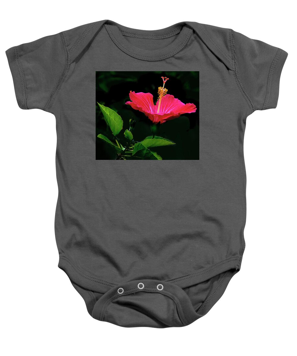 Hibiscus Baby Onesie featuring the photograph Hibiscus After The Rain by Don Durfee