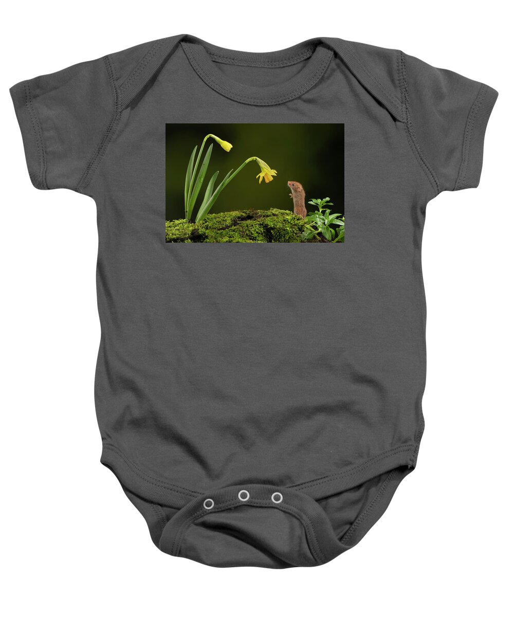 Harvest Baby Onesie featuring the photograph HMdaff03449B by Miles Herbert