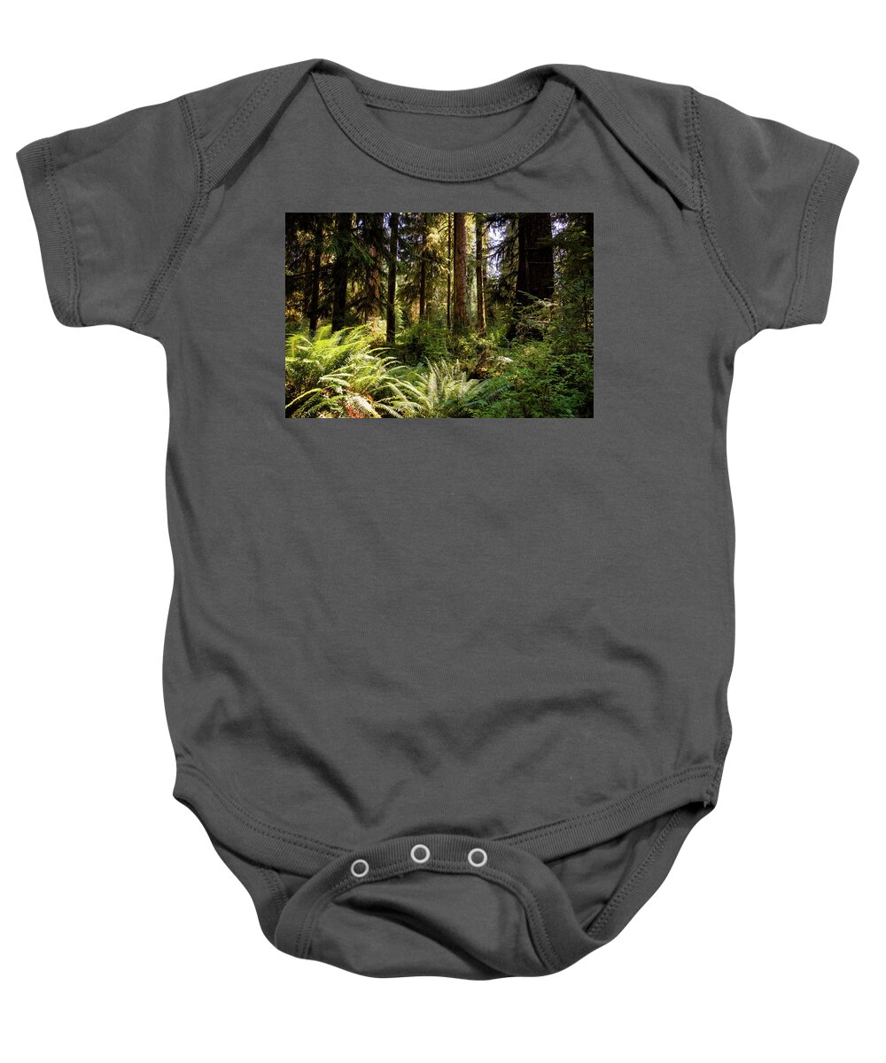 Washington Baby Onesie featuring the photograph Hoh forest #1 by Alberto Zanoni