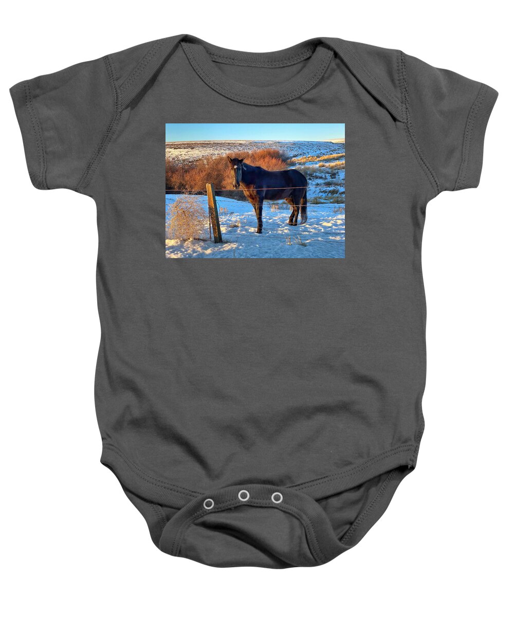 Horse Baby Onesie featuring the photograph Horse in Snow by Jerry Abbott
