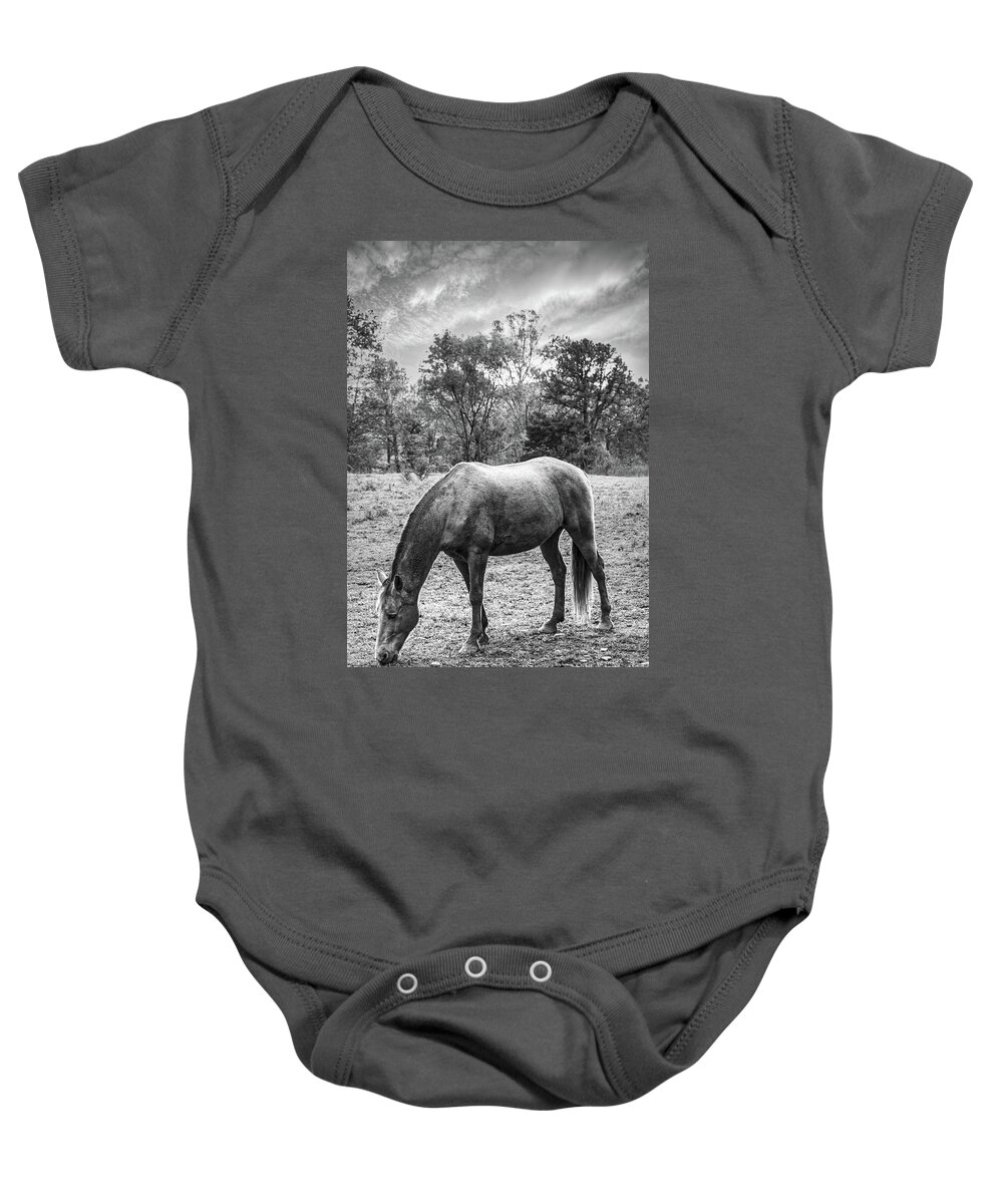 Cades Baby Onesie featuring the photograph Horses Grazing in Cades Cove Black and White by Debra and Dave Vanderlaan