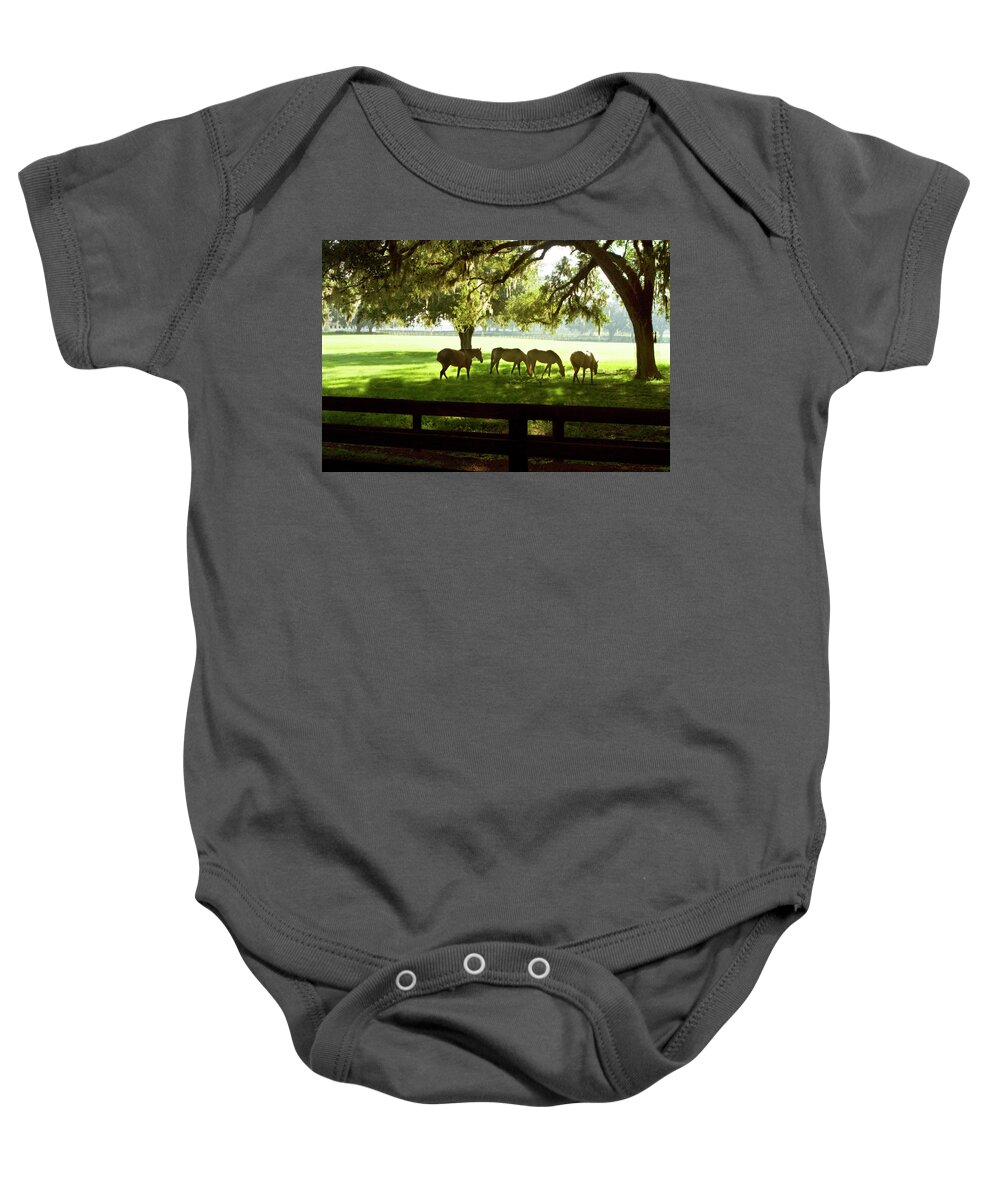 Photo Baby Onesie featuring the photograph Horses in the Sunrise 1 by Alan Hausenflock