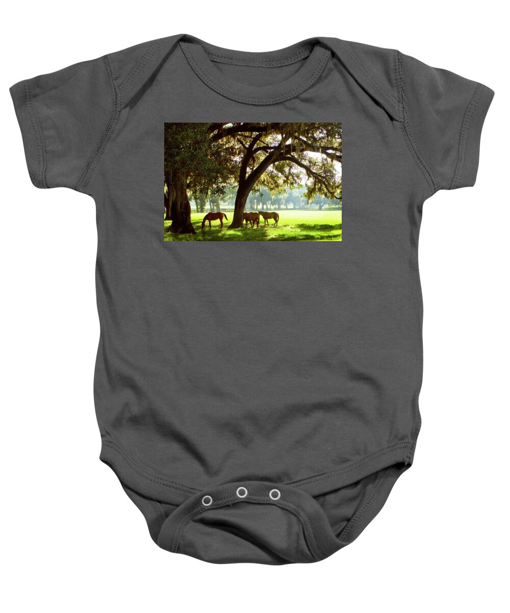 Photo Baby Onesie featuring the photograph Horses in the Sunrise 4 by Alan Hausenflock
