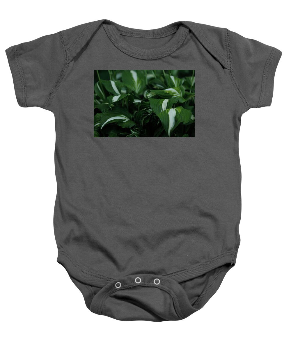 Perennial Baby Onesie featuring the photograph Hosta Plantain Lily Perennial Plant by Valerie Collins