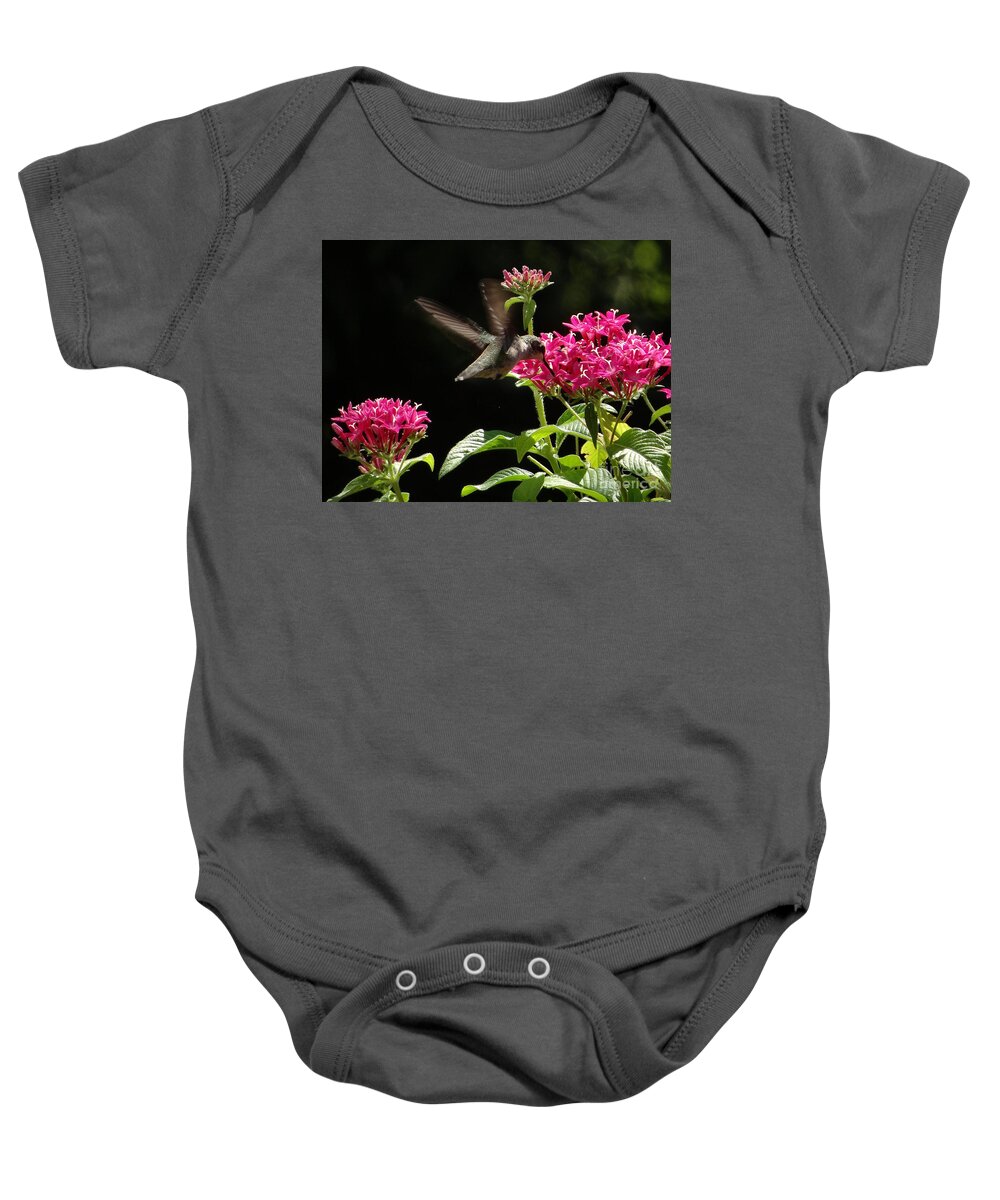 5 Star Baby Onesie featuring the photograph Hummers on Deck- 2-06 by Christopher Plummer