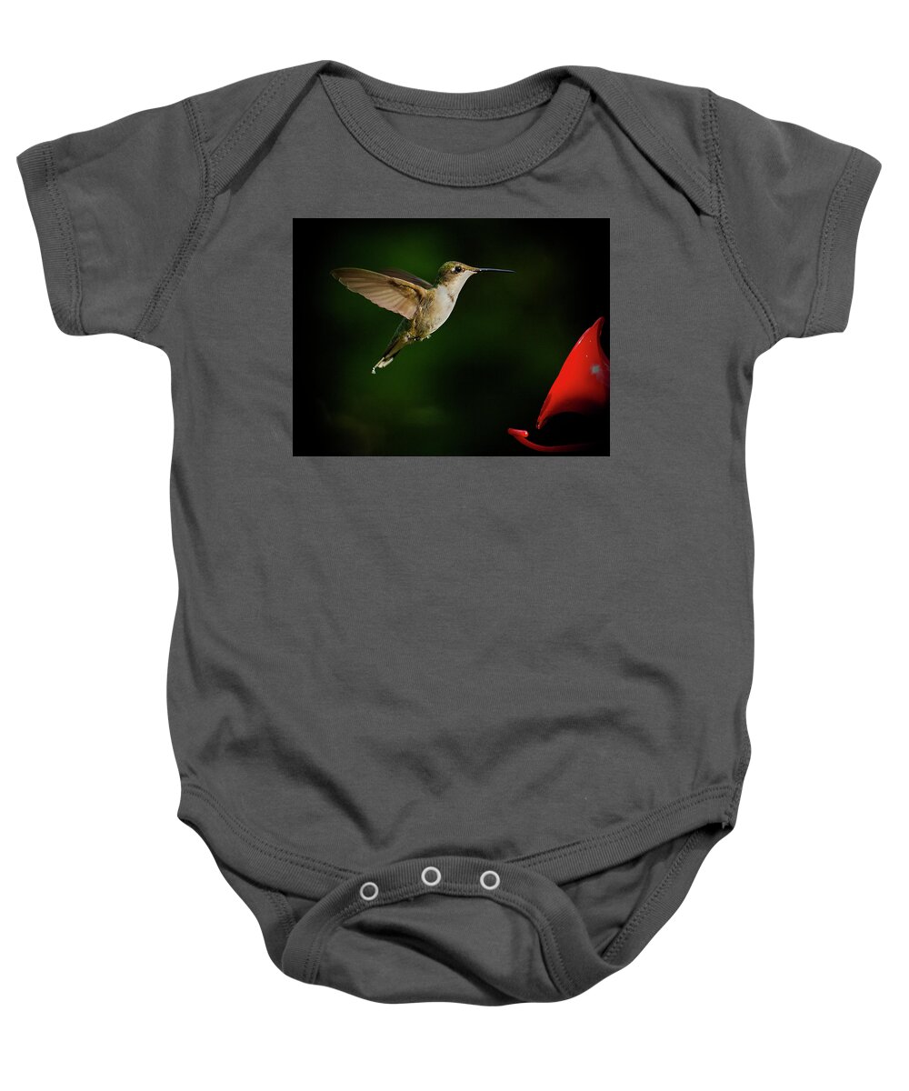 Approaching Baby Onesie featuring the photograph Hummingbird Closes in on Feeder by Charles Floyd