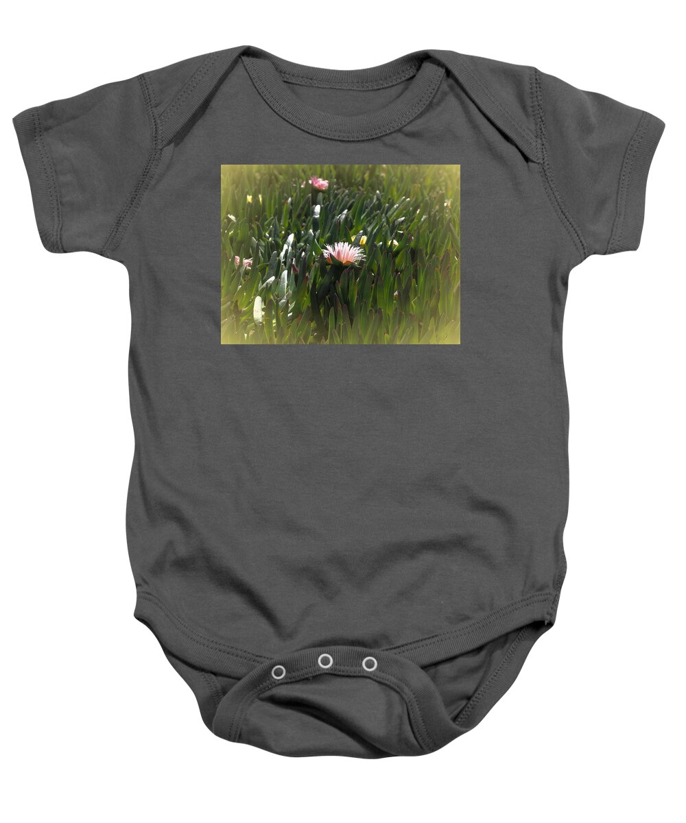 Seascape Baby Onesie featuring the photograph Ice Plant by Richard Thomas