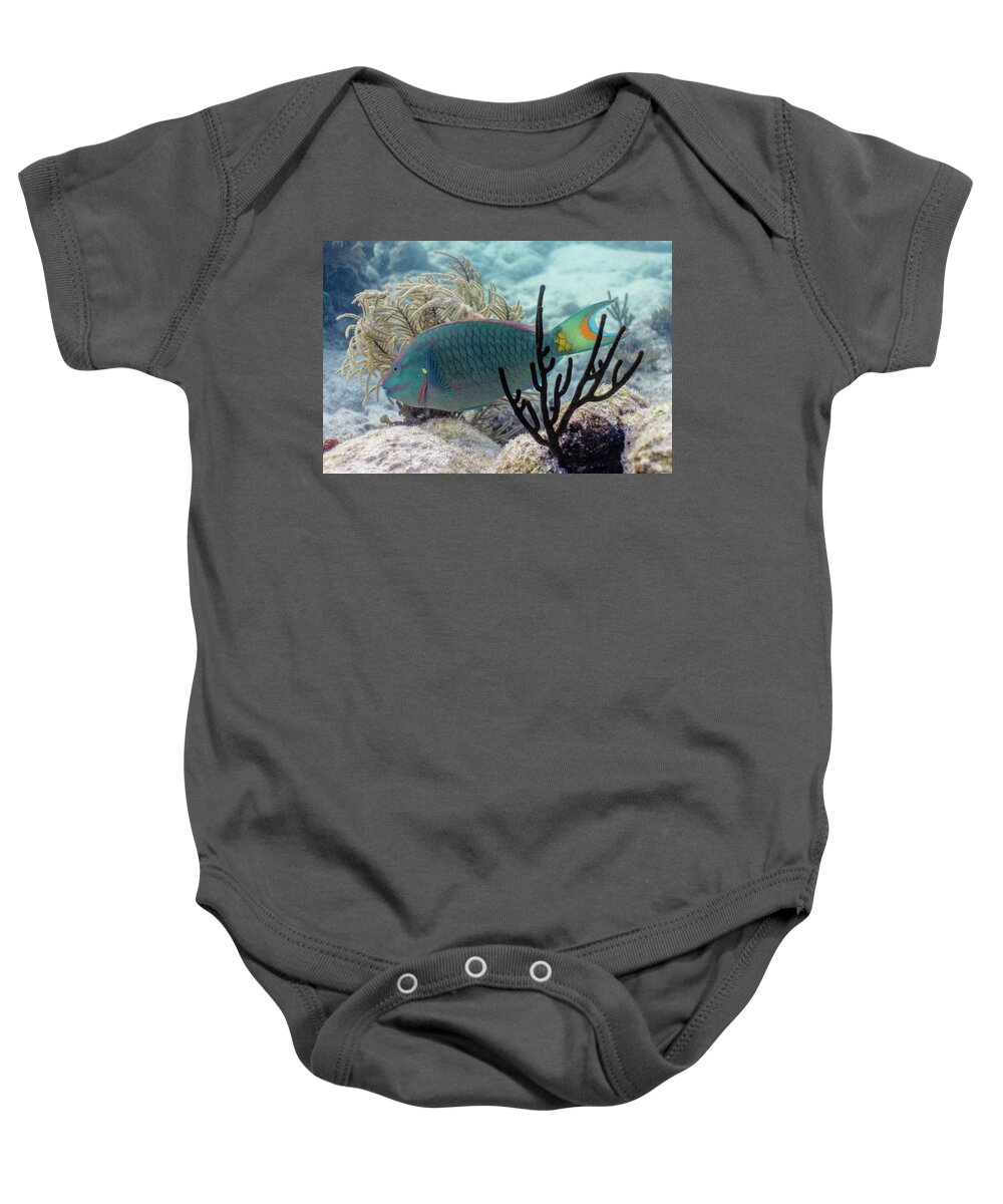 Stoplight Baby Onesie featuring the photograph In Between by Lynne Browne
