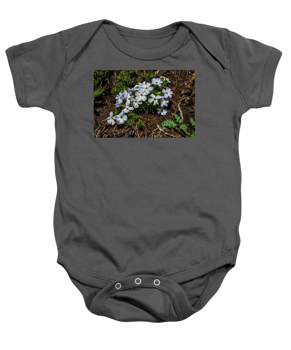 Mountain Phlox Baby Onesie featuring the photograph In Bloom Again by Doug Scrima