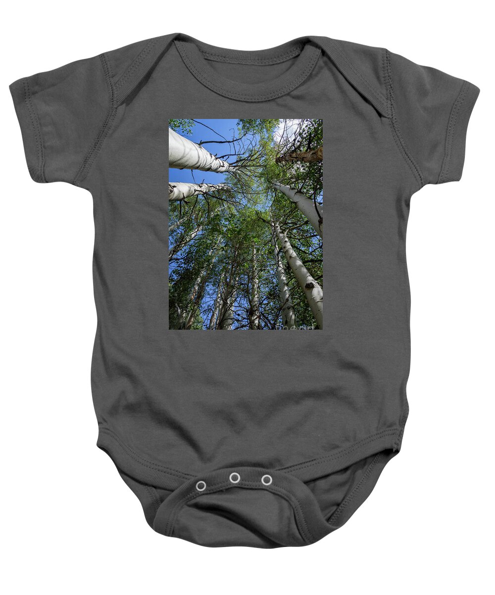 Aspens Baby Onesie featuring the photograph In the Grove by Jeff Hubbard
