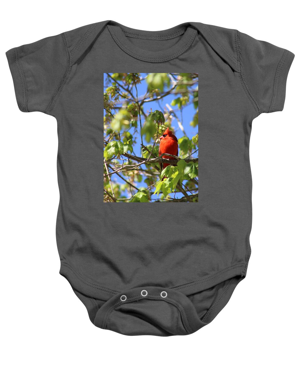 Northern Cardinal Baby Onesie featuring the photograph In the Spotlight by Heather E Harman