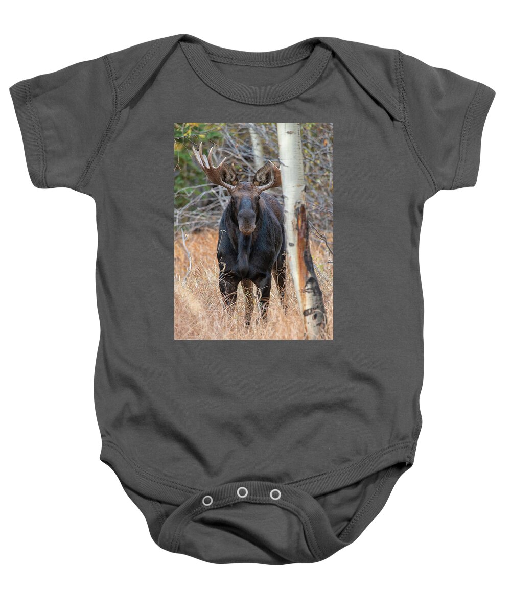 Moose Baby Onesie featuring the photograph In the Trees 2 by Darlene Bushue