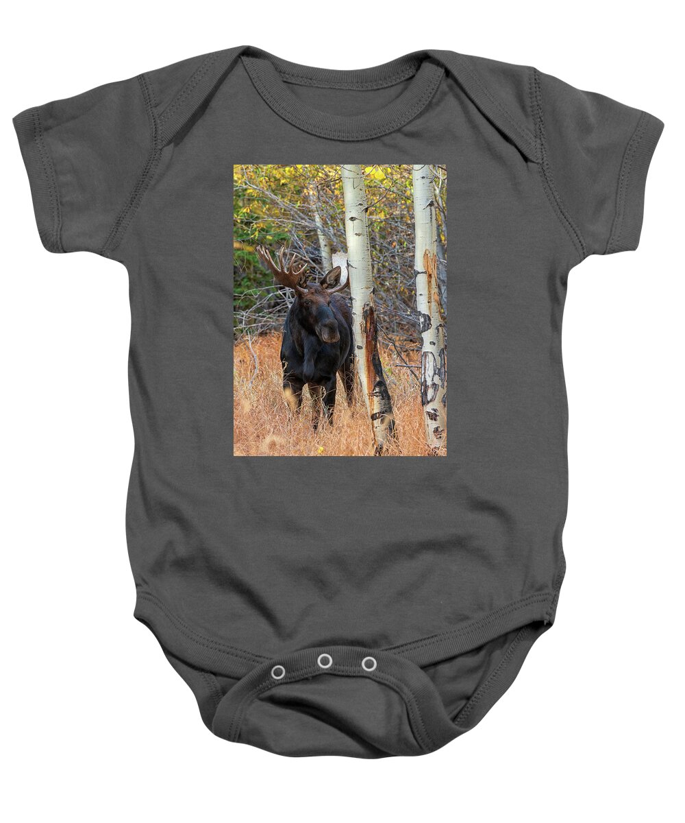 Moose Baby Onesie featuring the photograph In the Trees by Darlene Bushue