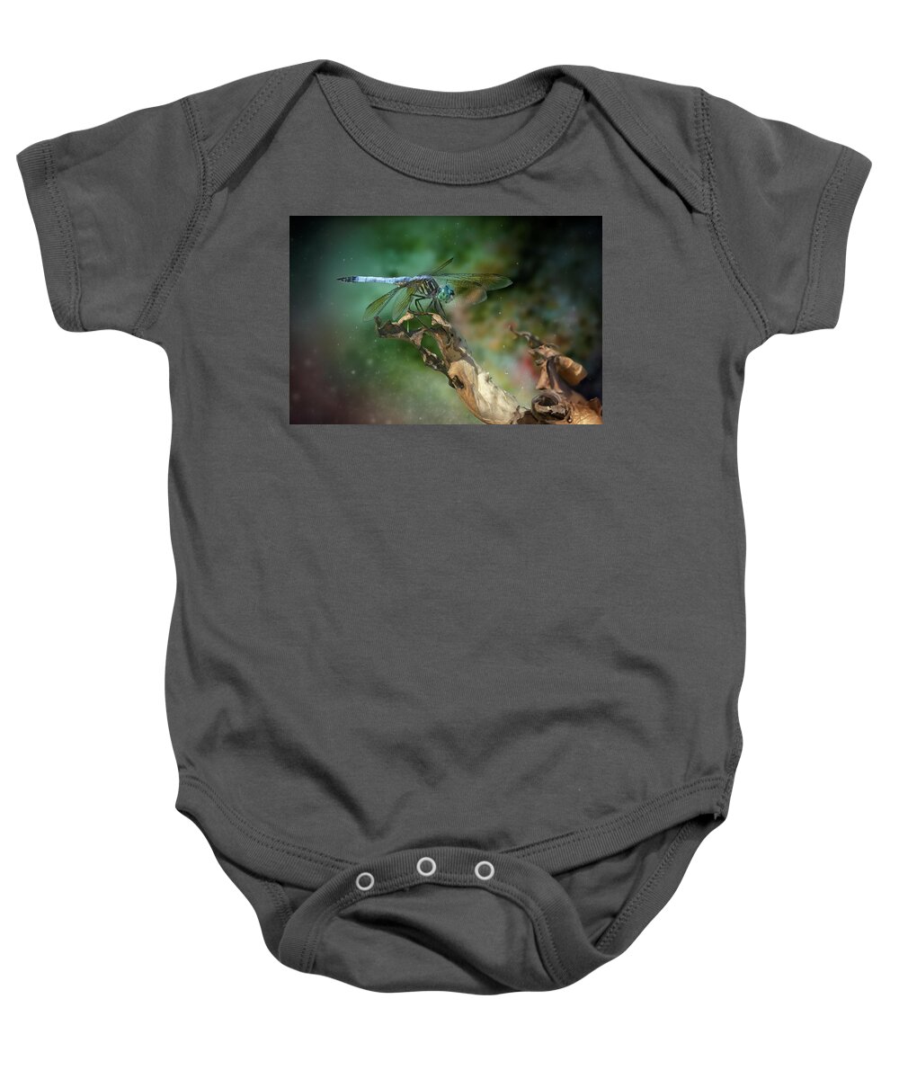 Dragon Fly Baby Onesie featuring the photograph Innerspace by Ray Congrove