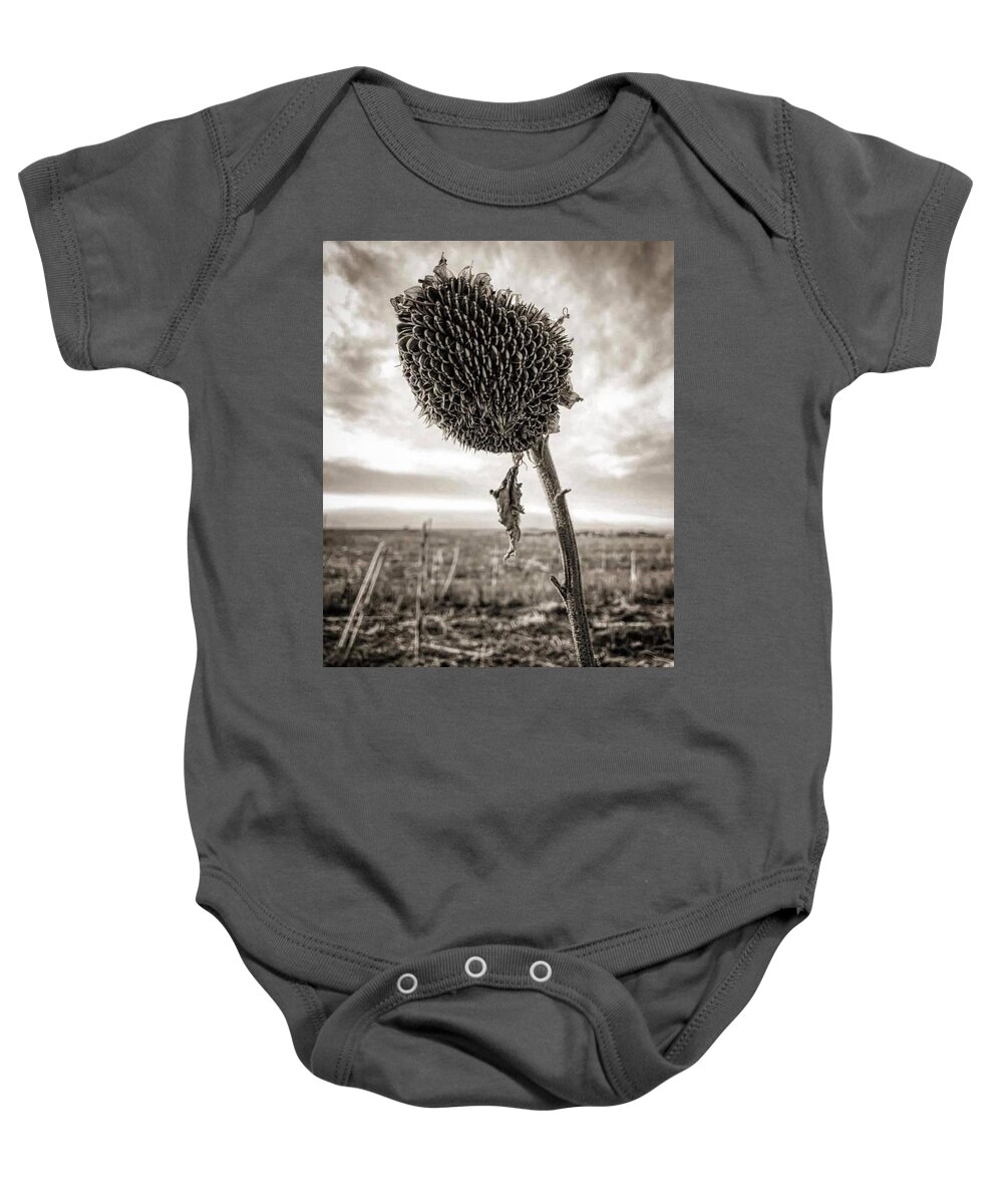 Iphonography Baby Onesie featuring the photograph iPhonography Sunflower 2 by Julie Powell