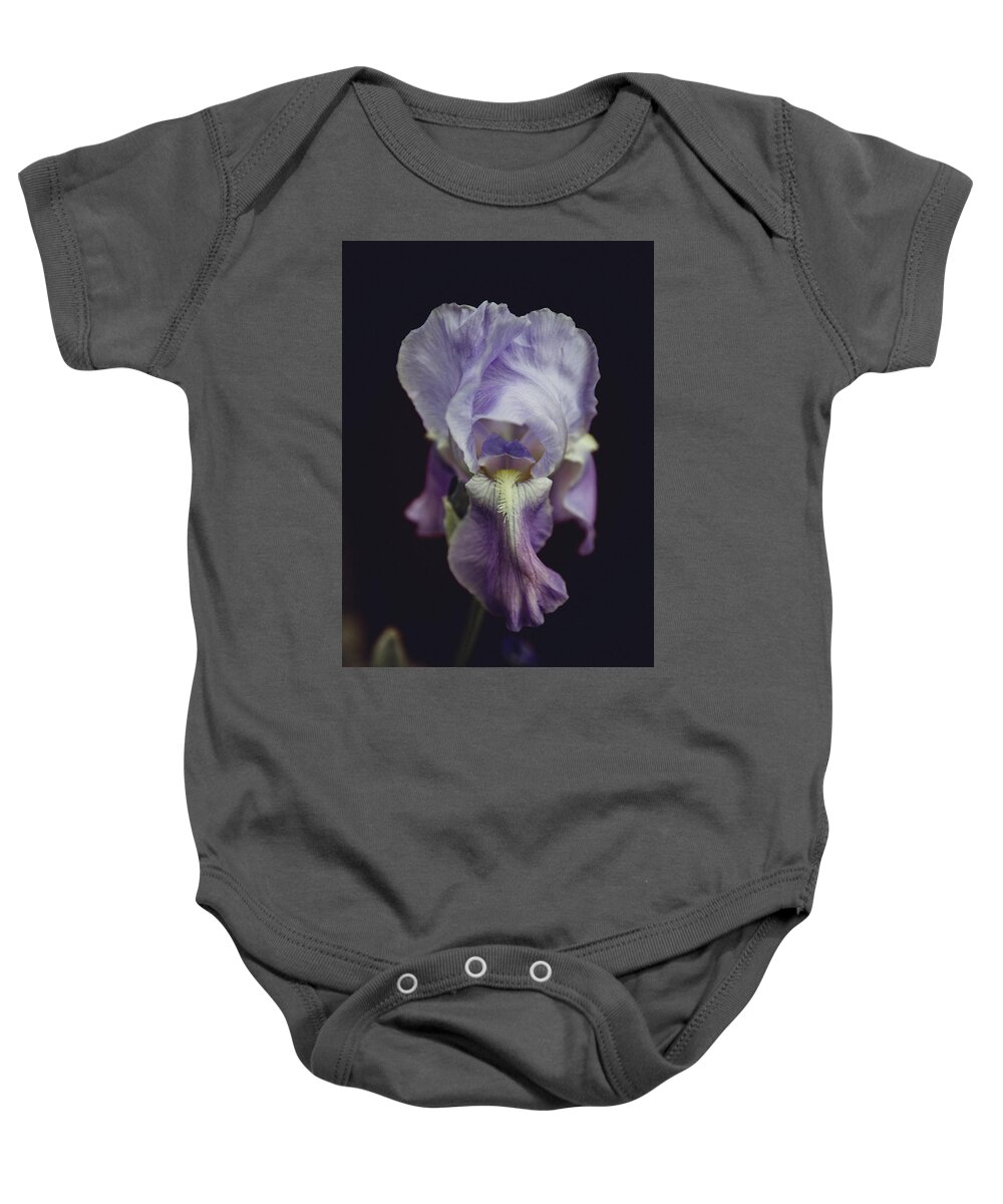 Iris Baby Onesie featuring the photograph Iris by Denise Kopko