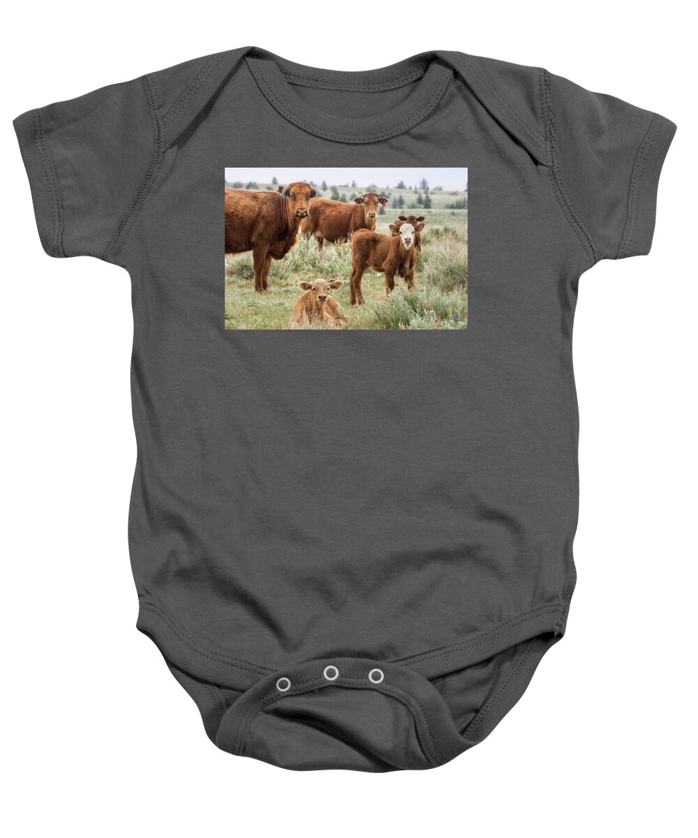 Cow Baby Onesie featuring the photograph J'Accuse by Belinda Greb