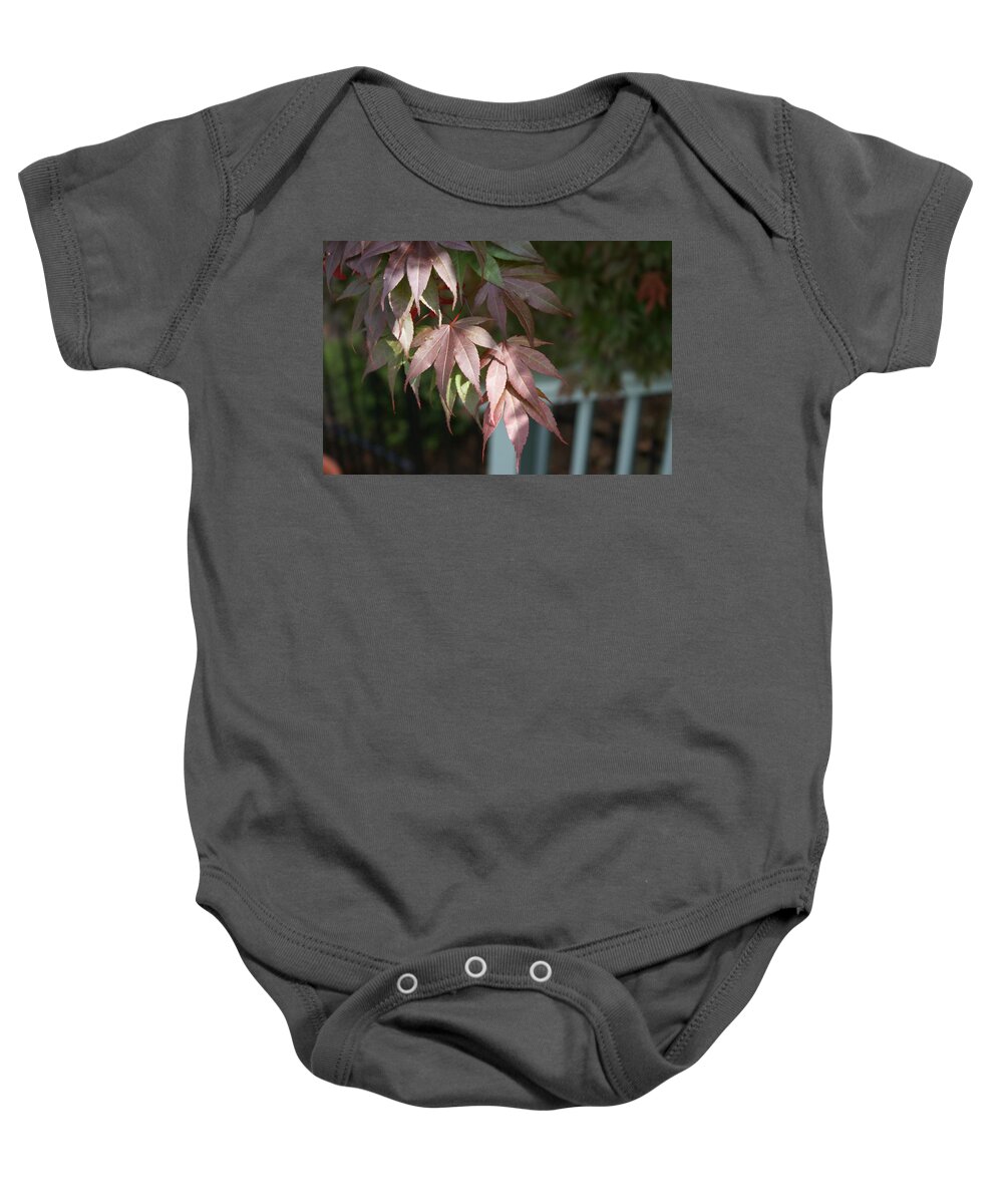  Baby Onesie featuring the photograph Japanese Maple by Heather E Harman