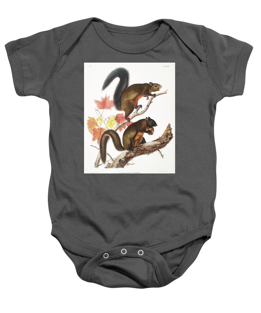 Squirrel Baby Onesie featuring the mixed media John Woodhouse Audubon by World Art Collective