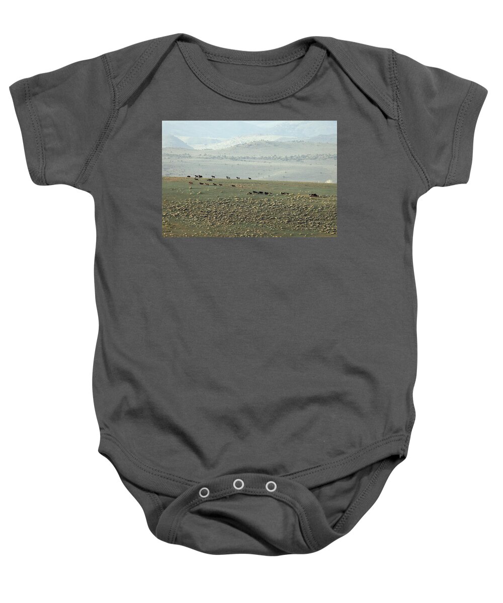 Baby Onesie featuring the photograph Jtr50316 by John T Humphrey