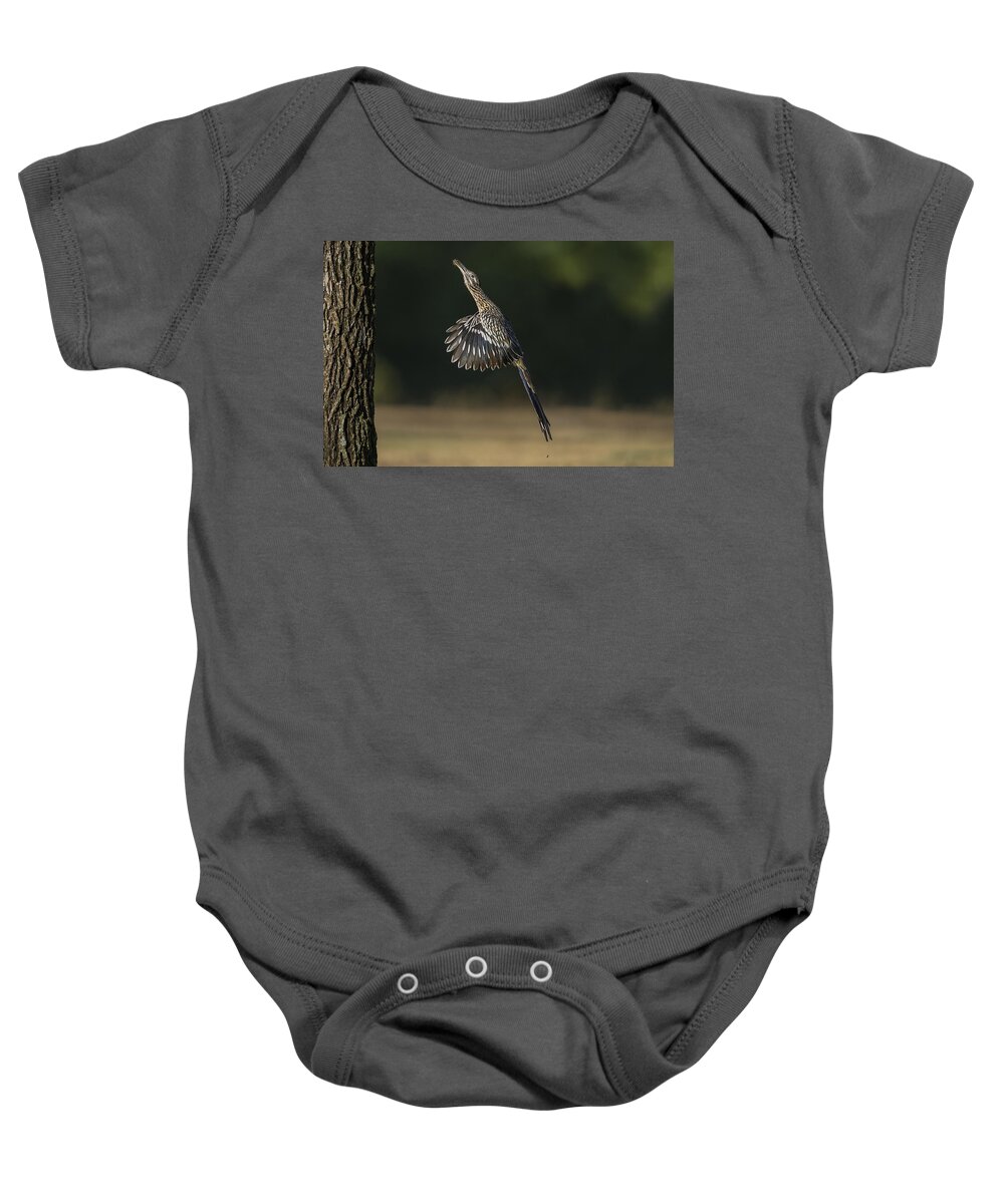 Greater Roadrunner Baby Onesie featuring the photograph Jumping to Feed by Puttaswamy Ravishankar