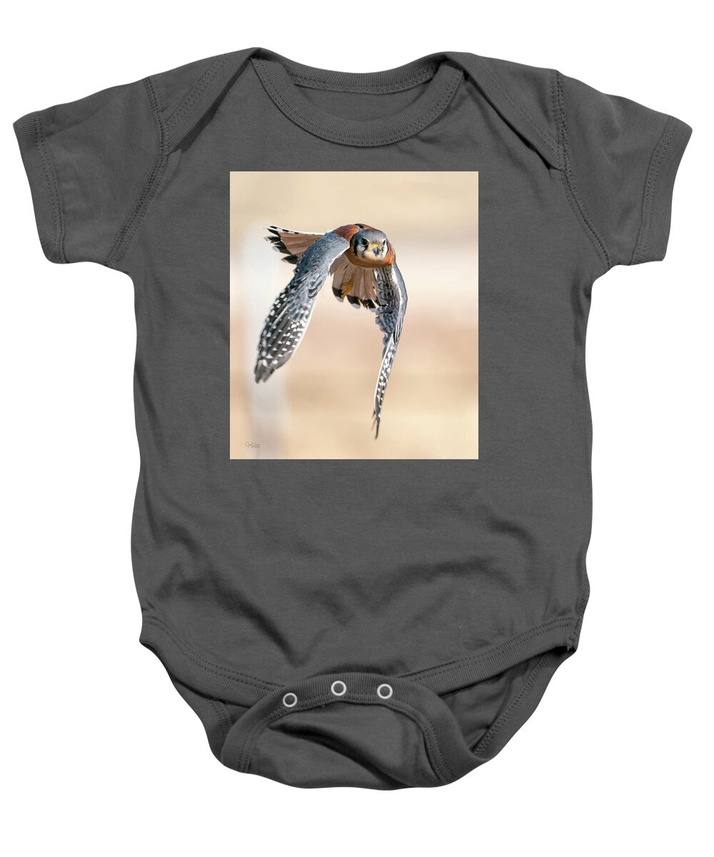 Kestrel Baby Onesie featuring the photograph Kestrel - incoming by Judi Dressler