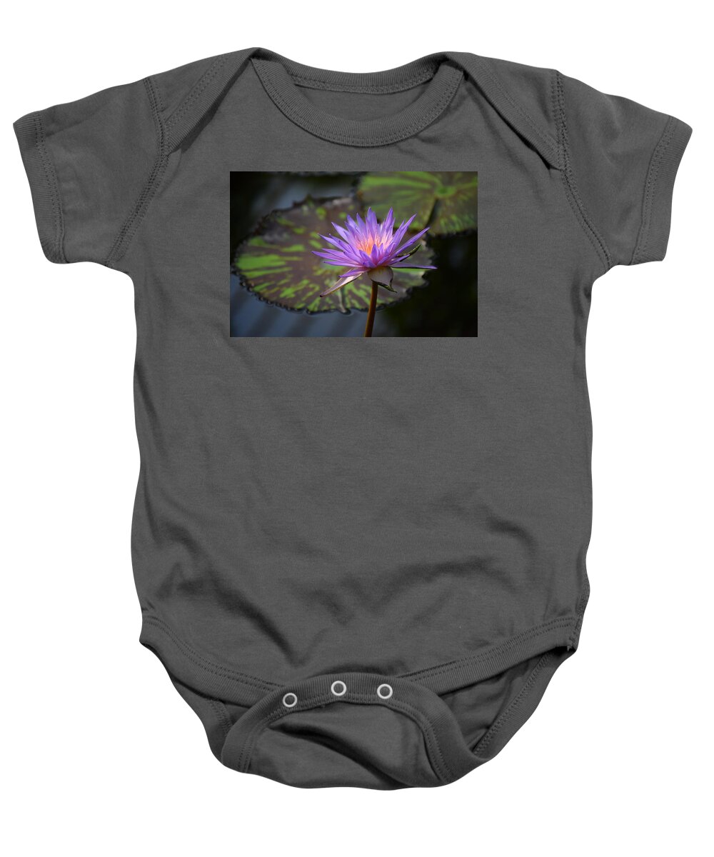 Water Lily Baby Onesie featuring the photograph Kew Water Lily by Terry M Olson