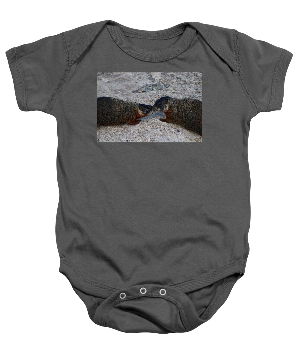 Marmot Baby Onesie featuring the photograph Kissin' Marmots by Yvonne M Smith