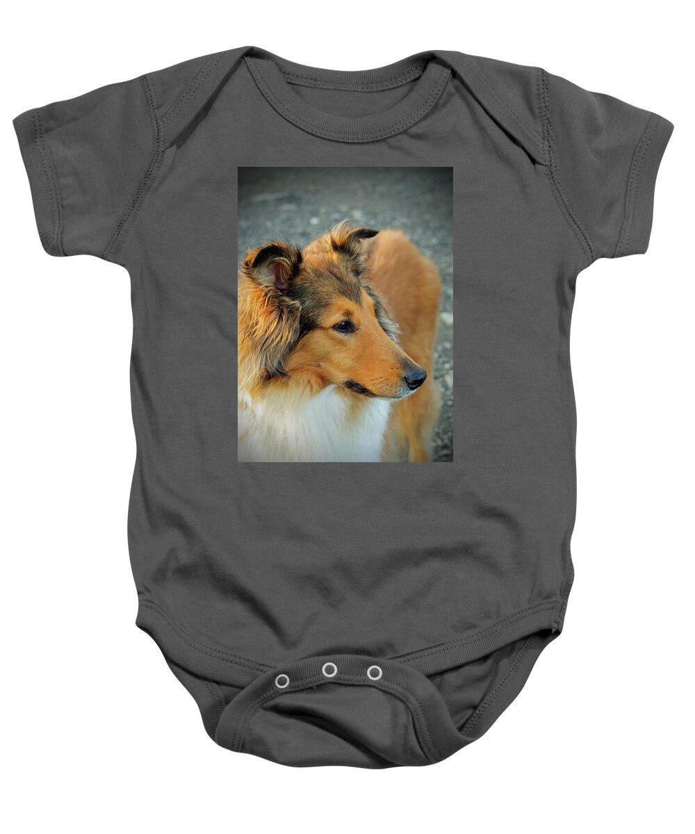 Pet Baby Onesie featuring the photograph Lassie Come Home by Tikvah's Hope