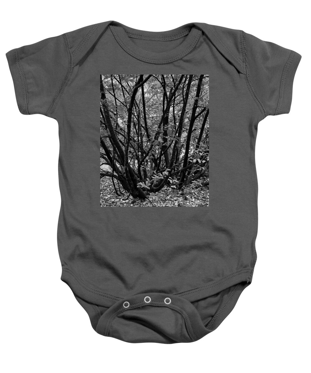 Black And White Baby Onesie featuring the photograph Laurel Tree bw by Jerry Abbott