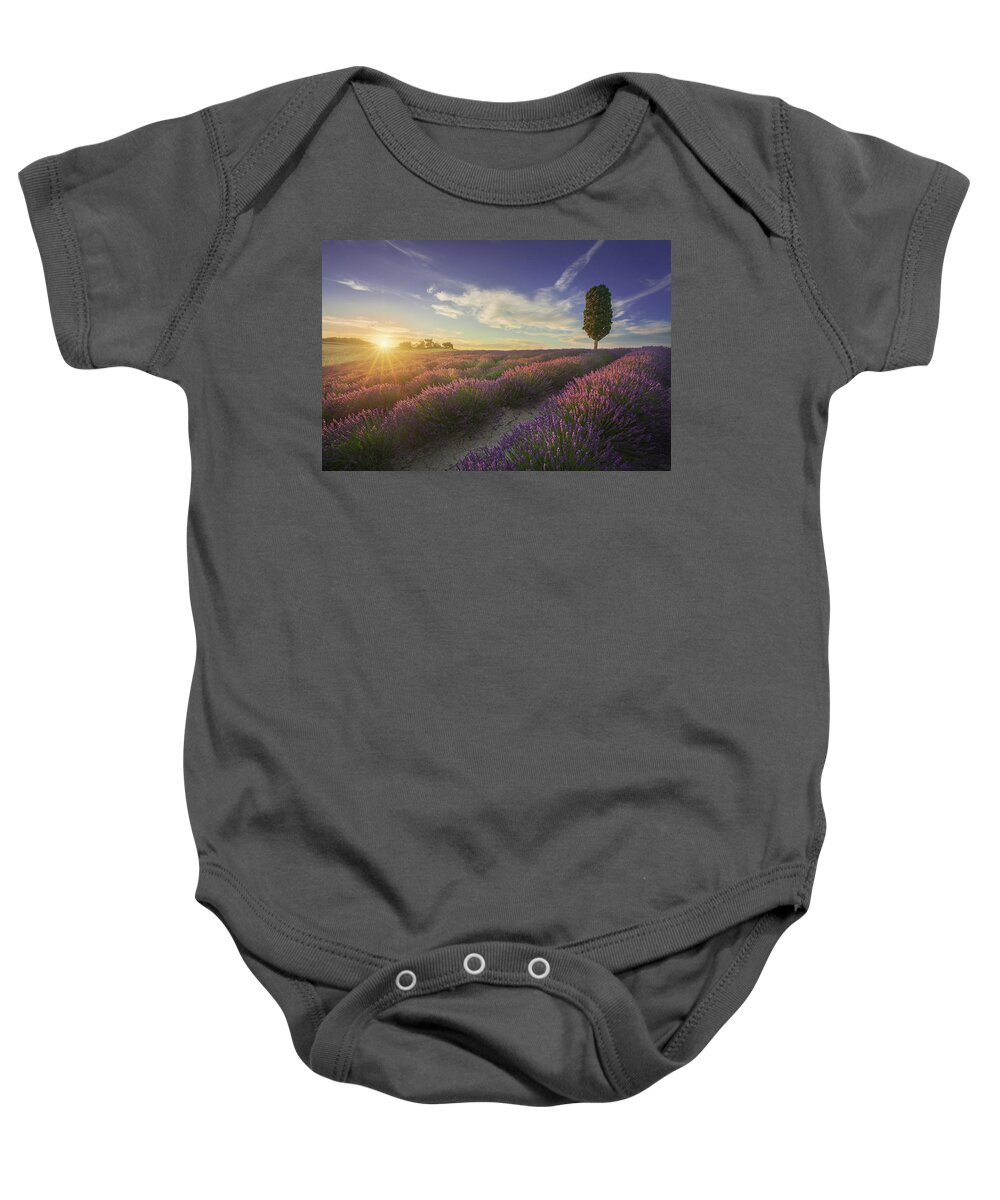Lavender Baby Onesie featuring the photograph Lavender fields and tree at sunset. Tuscany by Stefano Orazzini