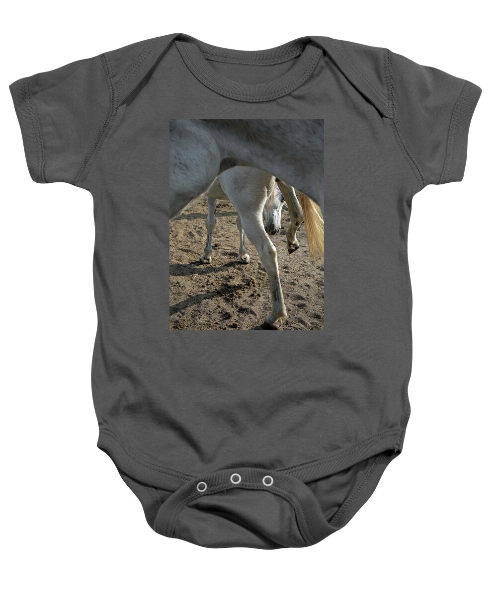 Horses Baby Onesie featuring the photograph Layers of Mares by M Kathleen Warren