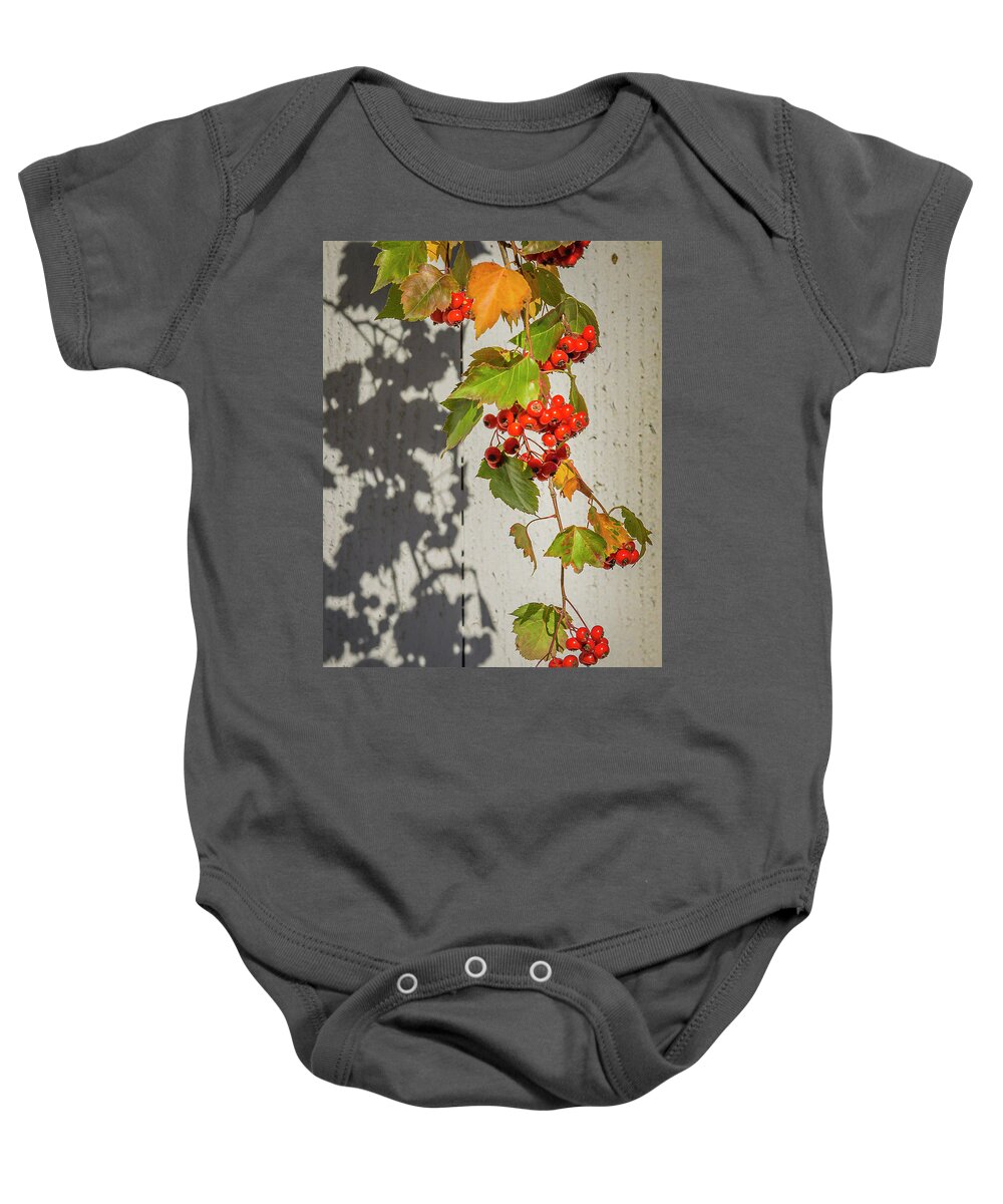 Boise Idaho Baby Onesie featuring the photograph Leaves and Fruit by Mark Mille