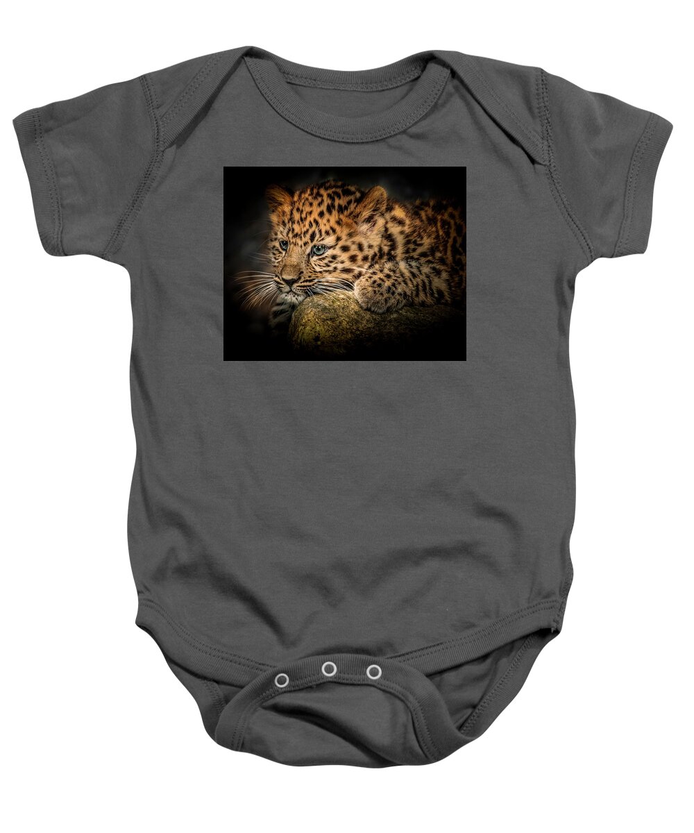 Wild Animal Baby Onesie featuring the photograph Leopard Cub by Chris Boulton