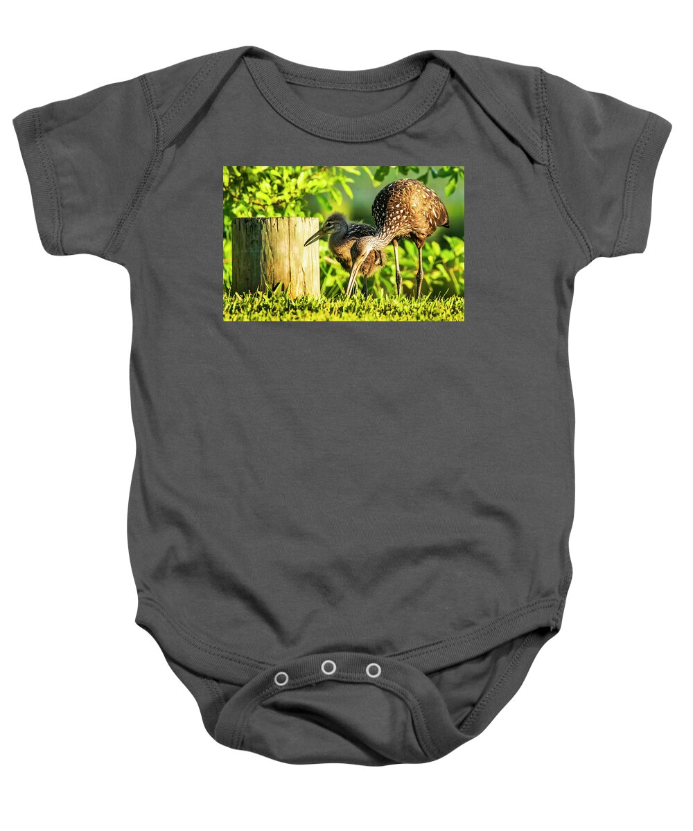 Limpkin With Baby Baby Onesie featuring the photograph Limpkin and baby by Don Durfee
