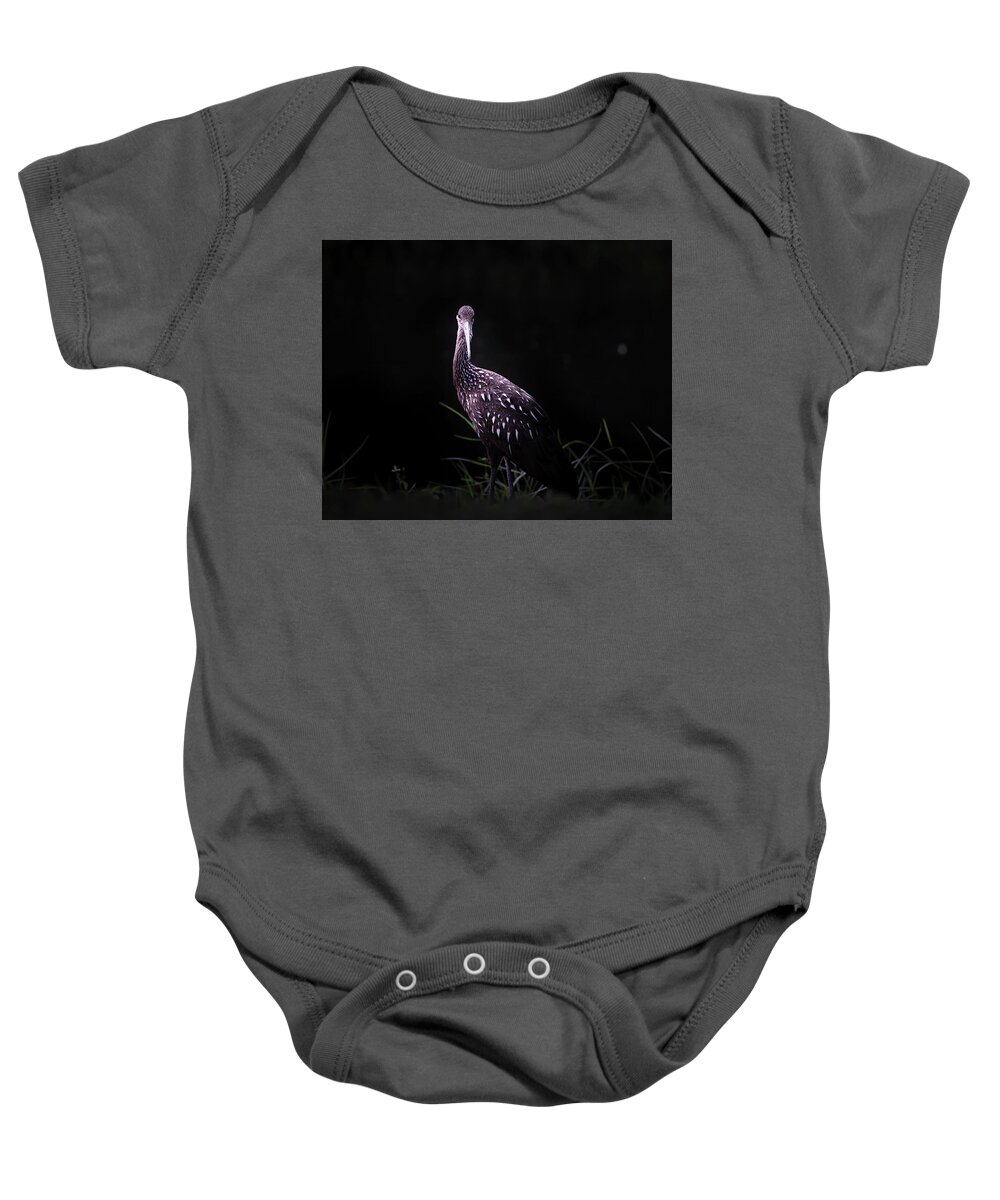 Limpkin Baby Onesie featuring the photograph Limpkin by the Shore by Mark Andrew Thomas