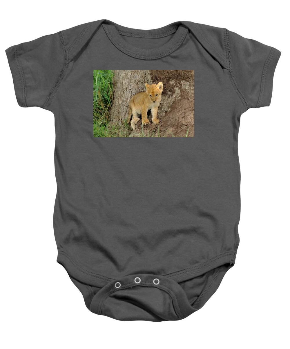 Lion Baby Onesie featuring the photograph Lion Cub at the Serengeti by Steve Wolfe