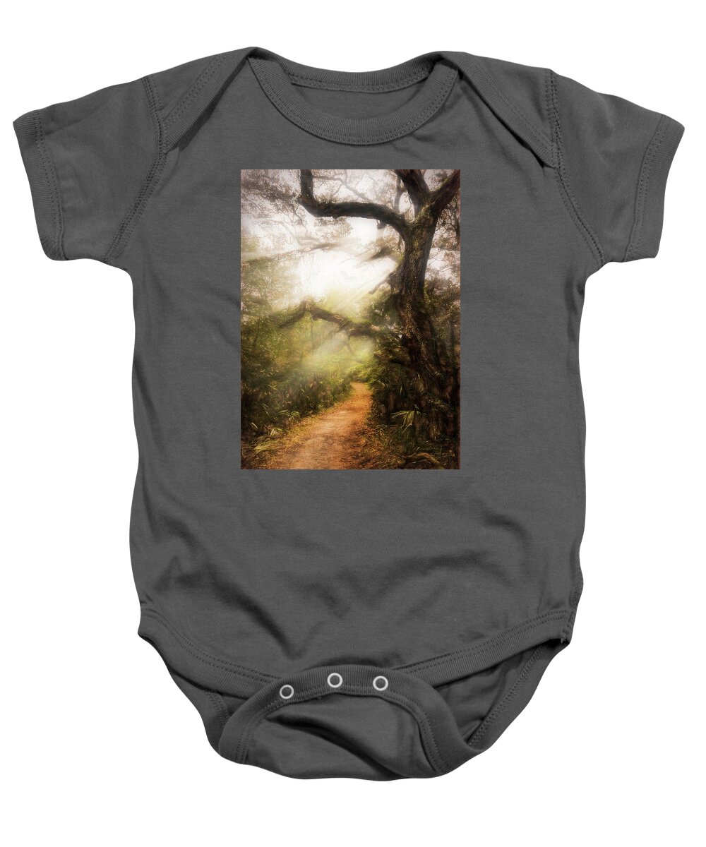 Trail Baby Onesie featuring the photograph Little Talbot Island Sunlit Trail Painting by Debra and Dave Vanderlaan