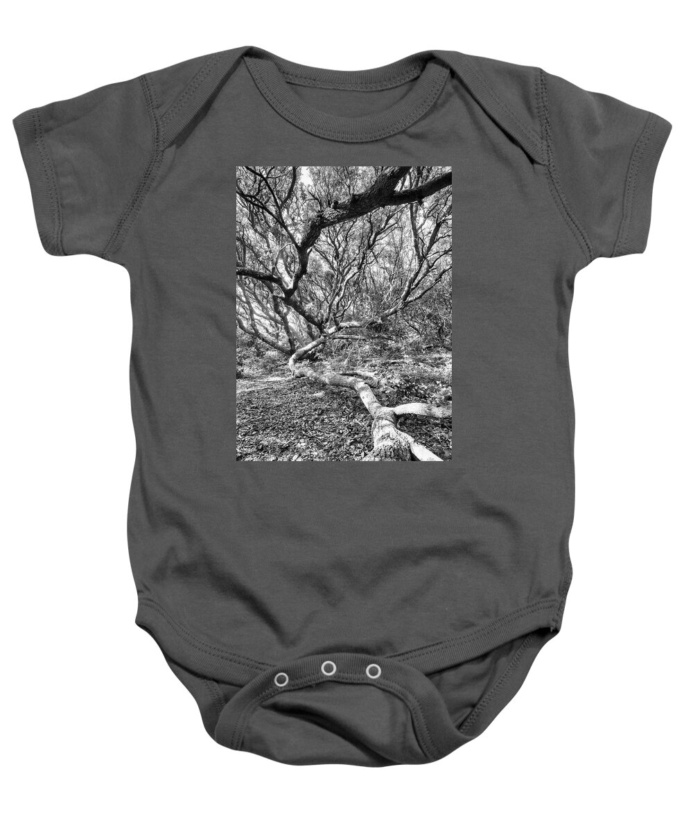 Live Oak Tree Baby Onesie featuring the photograph Live Oak in Fort Macon State Park by Bob Decker