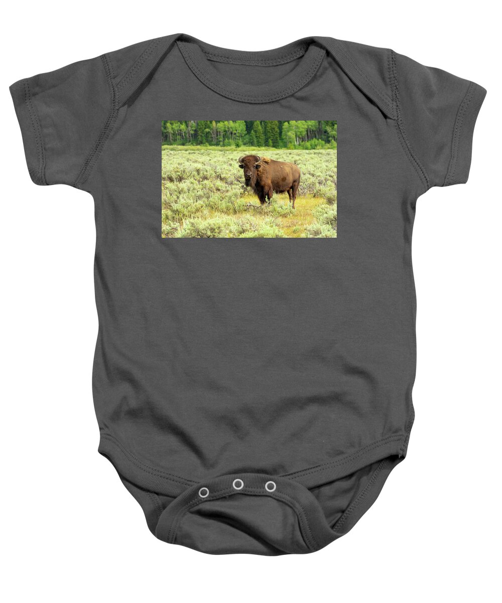 Buffalo Baby Onesie featuring the photograph Lone Teton Buffalo by Tara Krauss