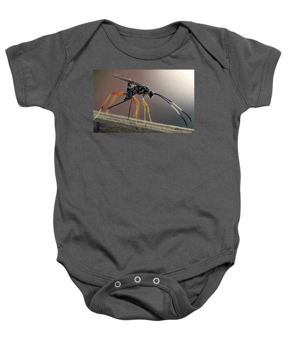 Insects Baby Onesie featuring the photograph Long Legged Alien by Jennifer Robin
