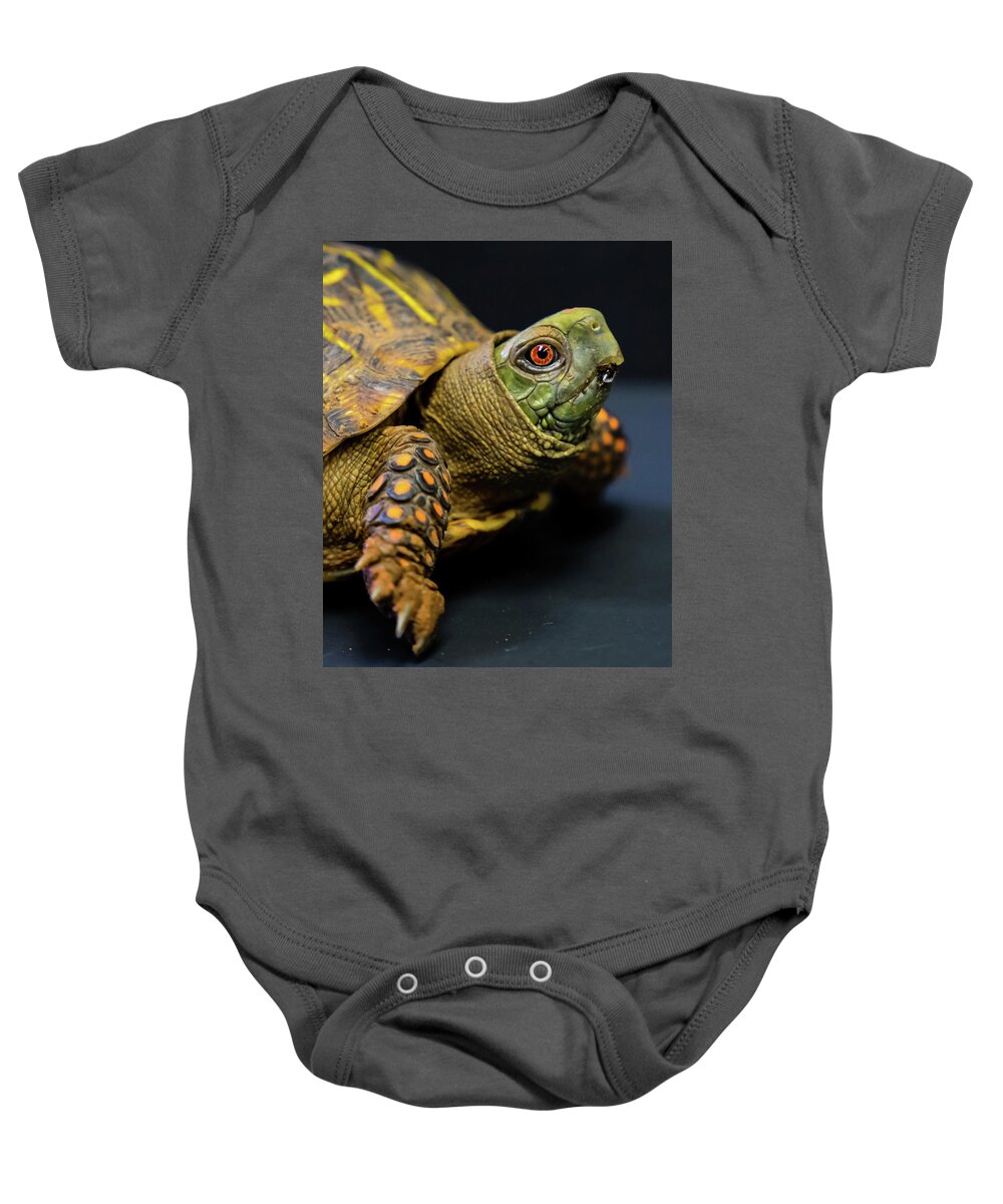 Turtle Baby Onesie featuring the photograph Look Into My Eye by Toni Hopper