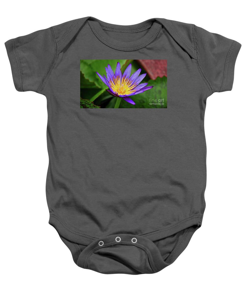 Water Lily Baby Onesie featuring the photograph Lotus by On da Raks
