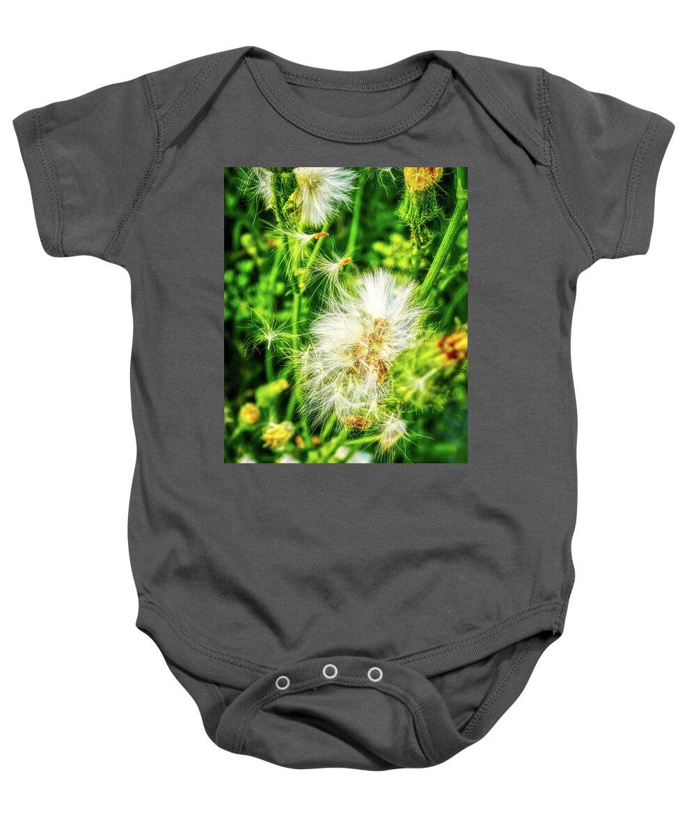 Dandelions Baby Onesie featuring the photograph Loving dandelions by Tatiana Travelways