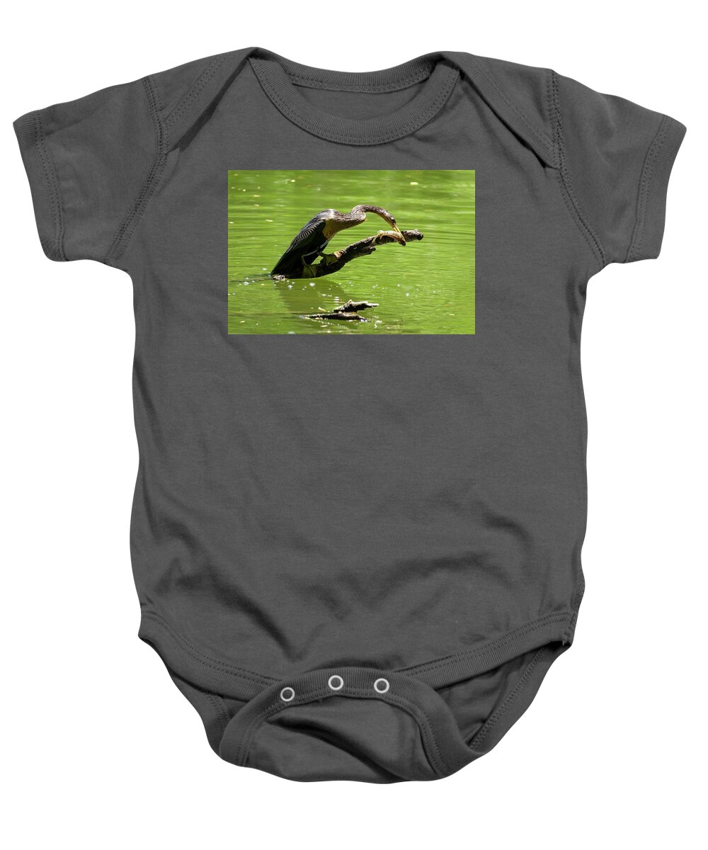 Wildlife Baby Onesie featuring the photograph Lunch for One by John Kirkland