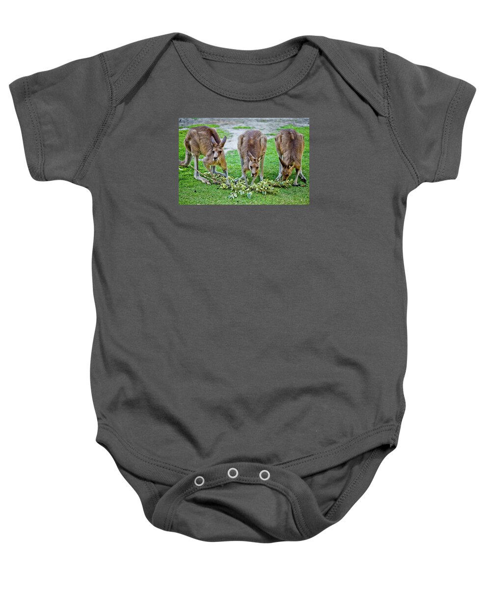 3 Kangaroos Baby Onesie featuring the photograph Lunch With Friends by Az Jackson