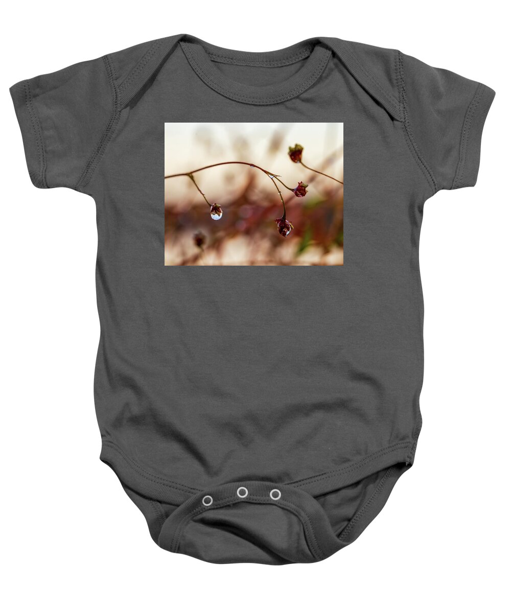 Plants Baby Onesie featuring the photograph Macro Photography - After The Rain by Amelia Pearn