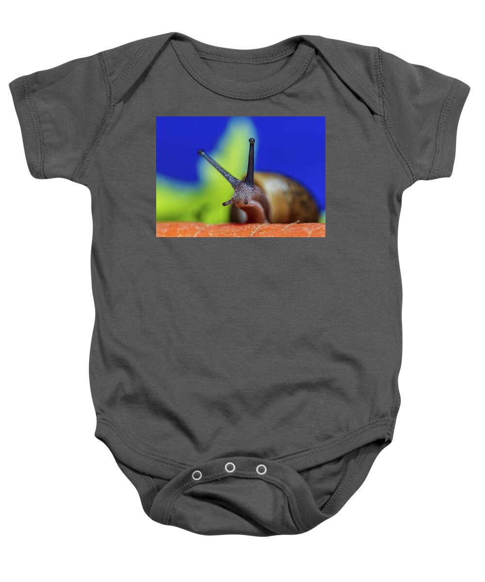 Animals Baby Onesie featuring the photograph Macro Photography - Snail by Amelia Pearn