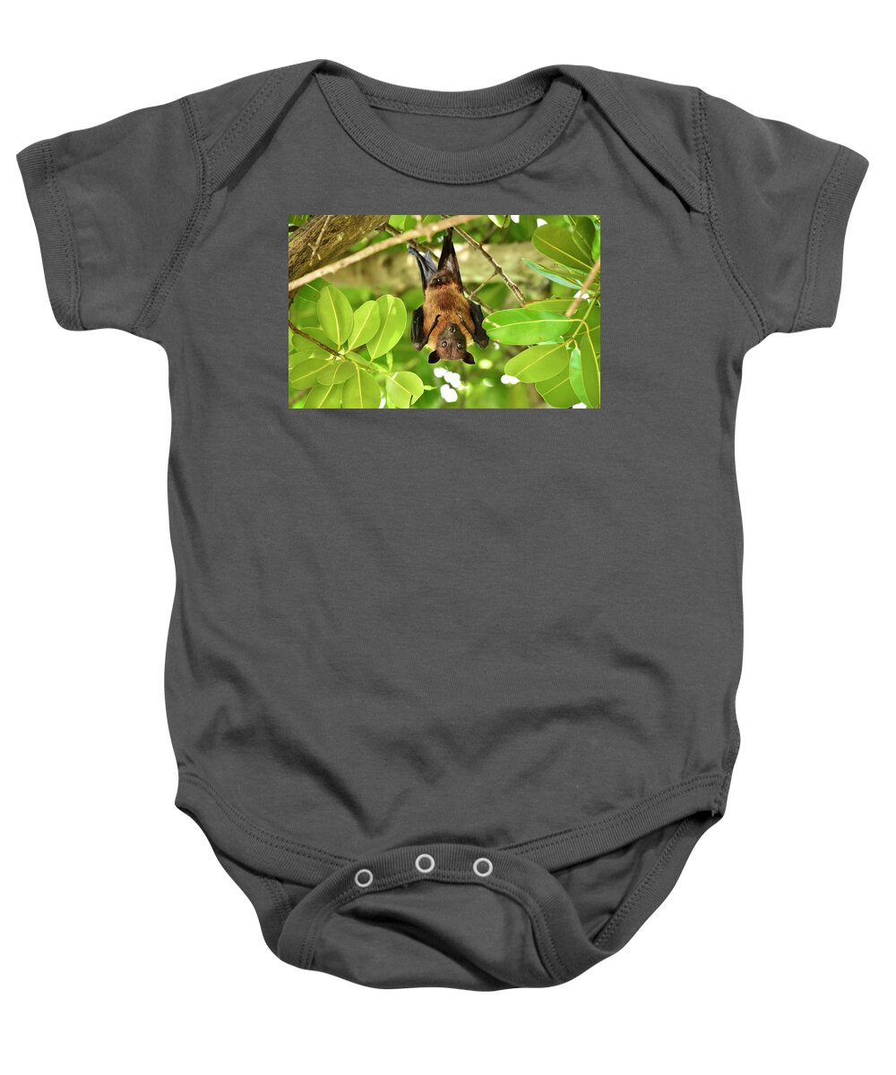 Maldives Baby Onesie featuring the photograph Maldivian Fruitbat by Neil R Finlay