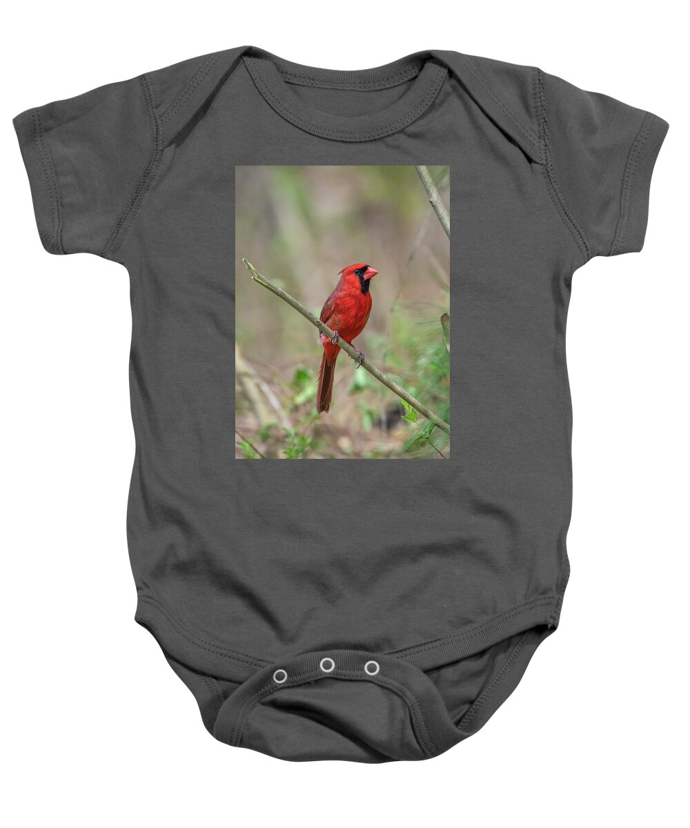 Blue Ridge Parkway Baby Onesie featuring the photograph Male Northern Cardinal by Robert J Wagner